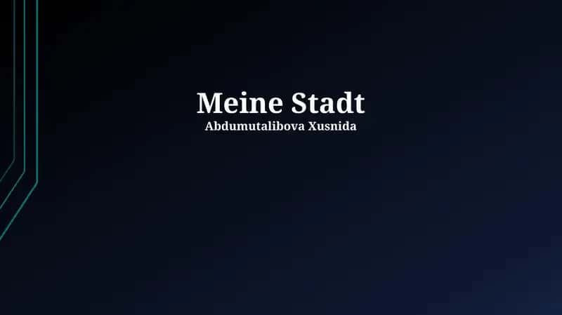 Meine Stadt 1