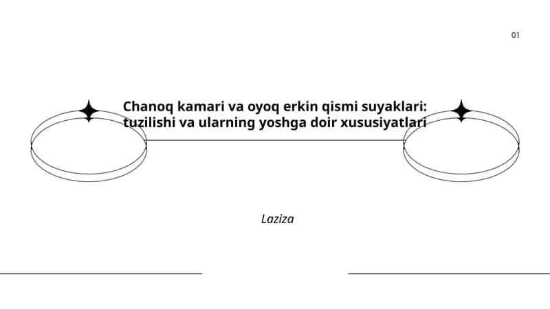 Suyaklarni o'rganamiz 1