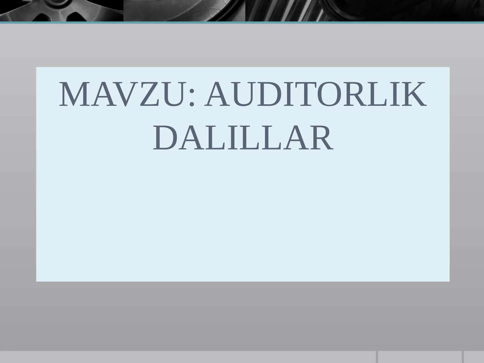 AUDITORLIK DALILLAR 1