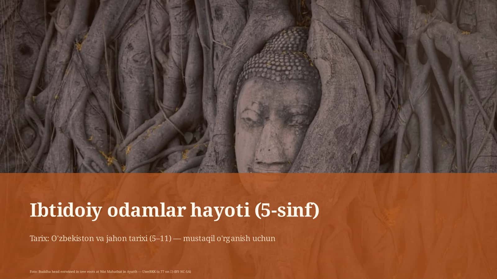 Ibtidoiy odamlar hayoti (5-sinf) 1