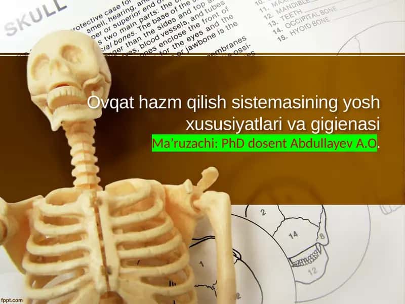 Ovqat hazm qilish sistemasining yosh xususiyatlari va gigienasi 1