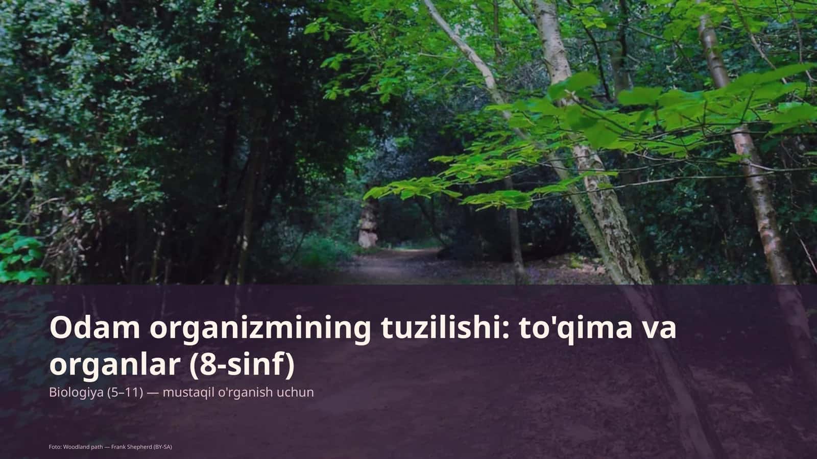 Odam organizmining tuzilishi: to'qima va organlar (8-sinf) 1