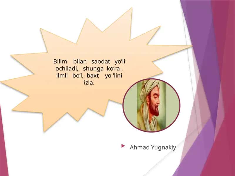 Umurtqasizlarning qon aylanish sistemasi 1