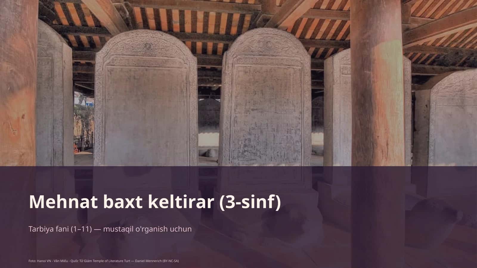 Mehmat baxt keltirar (3-sinf) 1