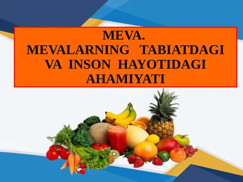 MEVA.MEVALARNING TABIATDAGI VA INSON HAYOTIDAGI AHAMIYATI 1