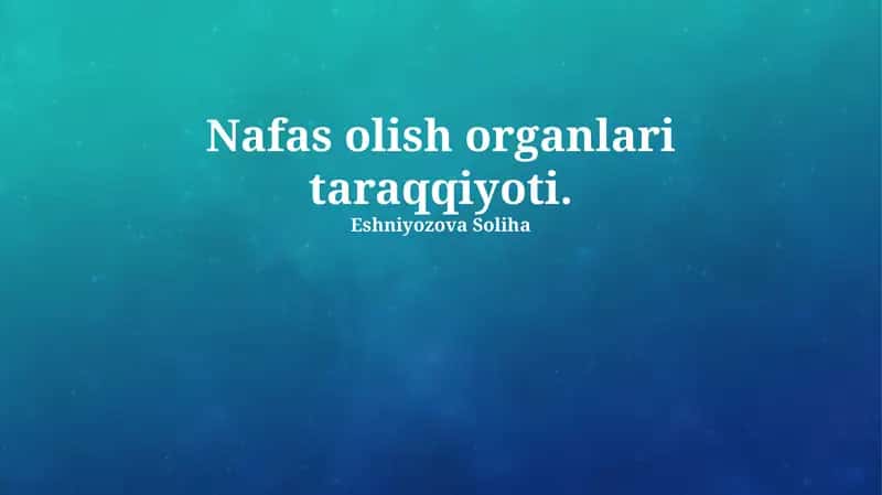 Nafas olish organlari taraqqiyoti 1