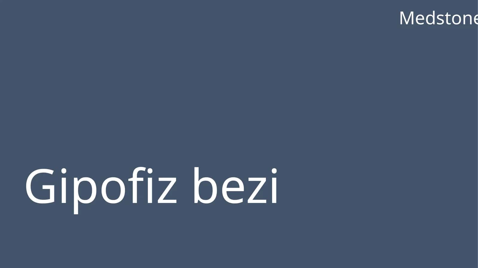 Gipofizbezi, Medstone, GIPOFIZ BEZI 1
