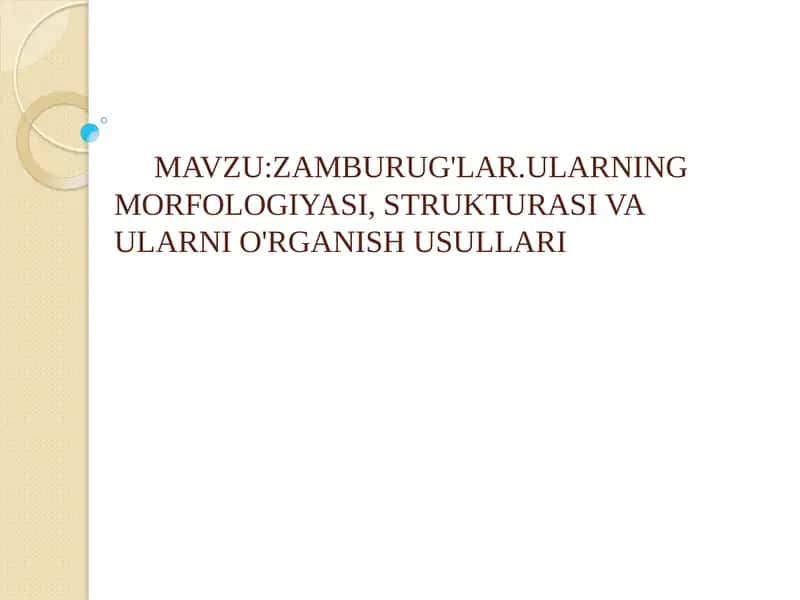 ZAMBURUG'LAR.ULARNING MORFOLOGIYASI, STRUKTURASI VA ULARNI O'RGANISH USULLARI 1