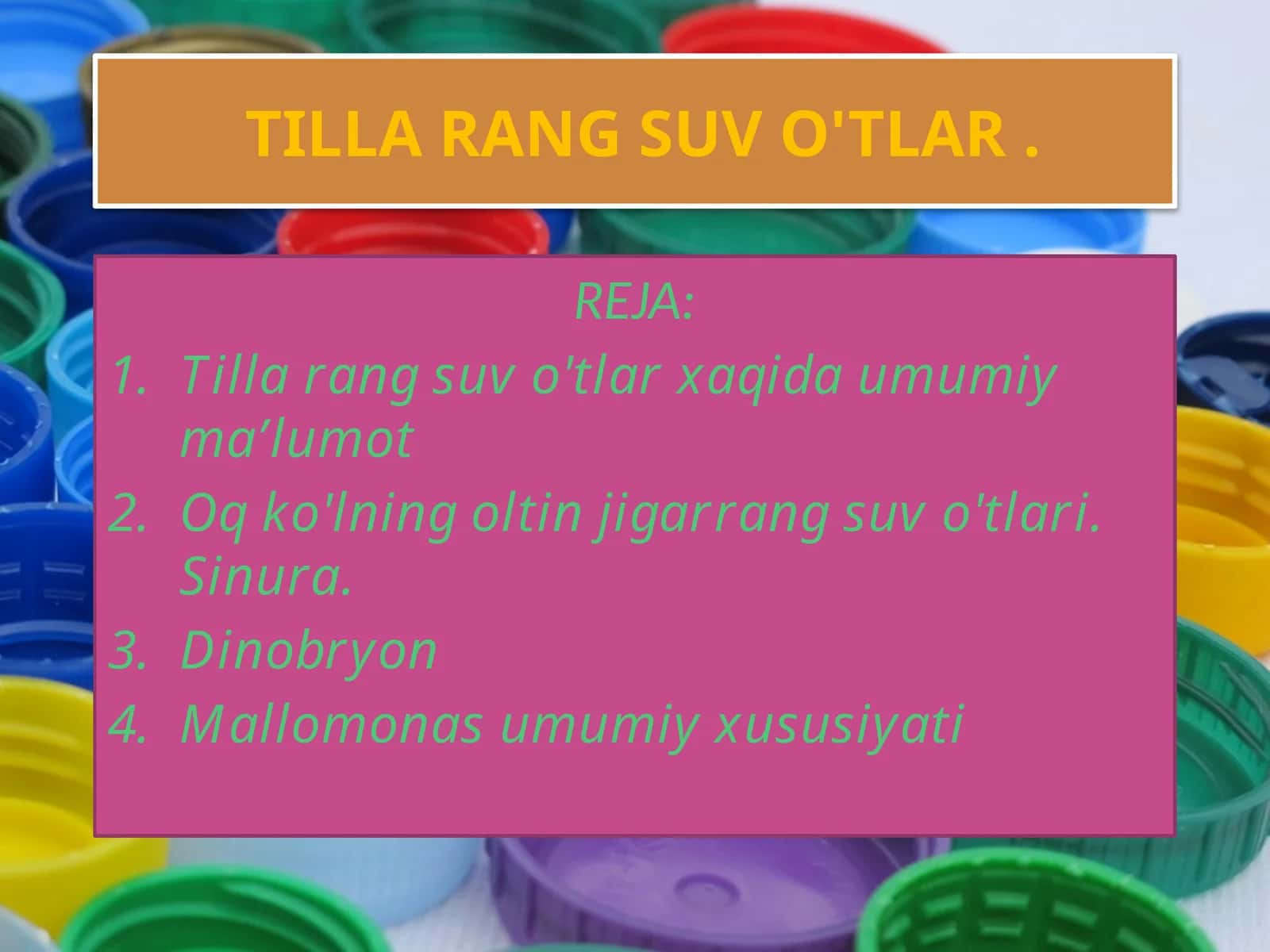 TILLA RANG SUV O'TLAR 1