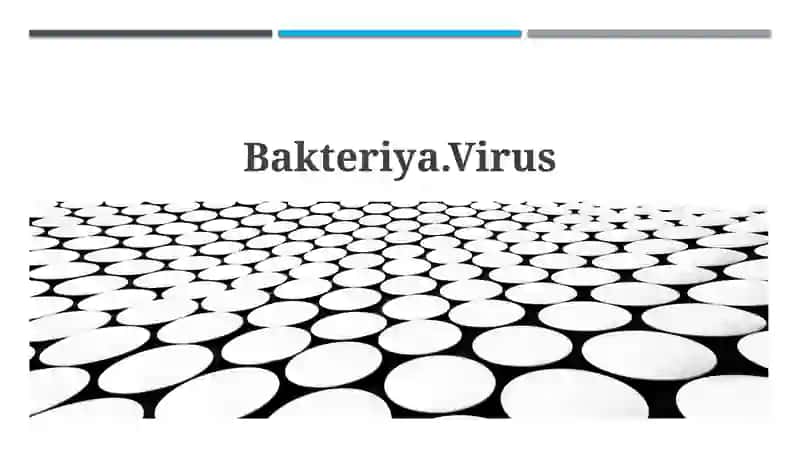 Bakteriya.Virus