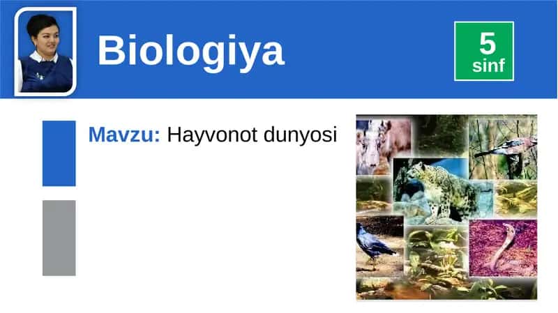 Hayvonotdunyosi 1