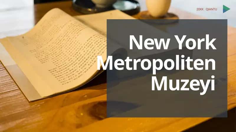New York Metropoliten Muzeyi 1