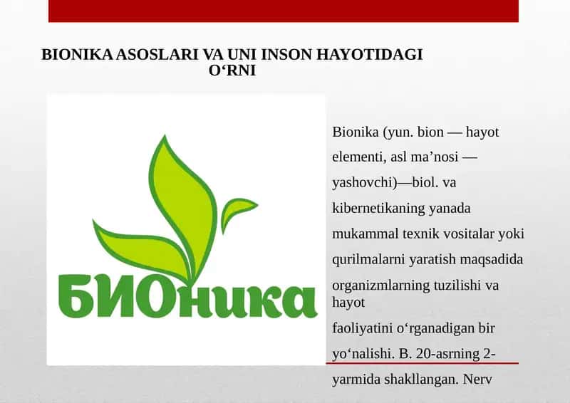 Bionika Asoslari va Uni Inson Hayotidagi O'rni 1