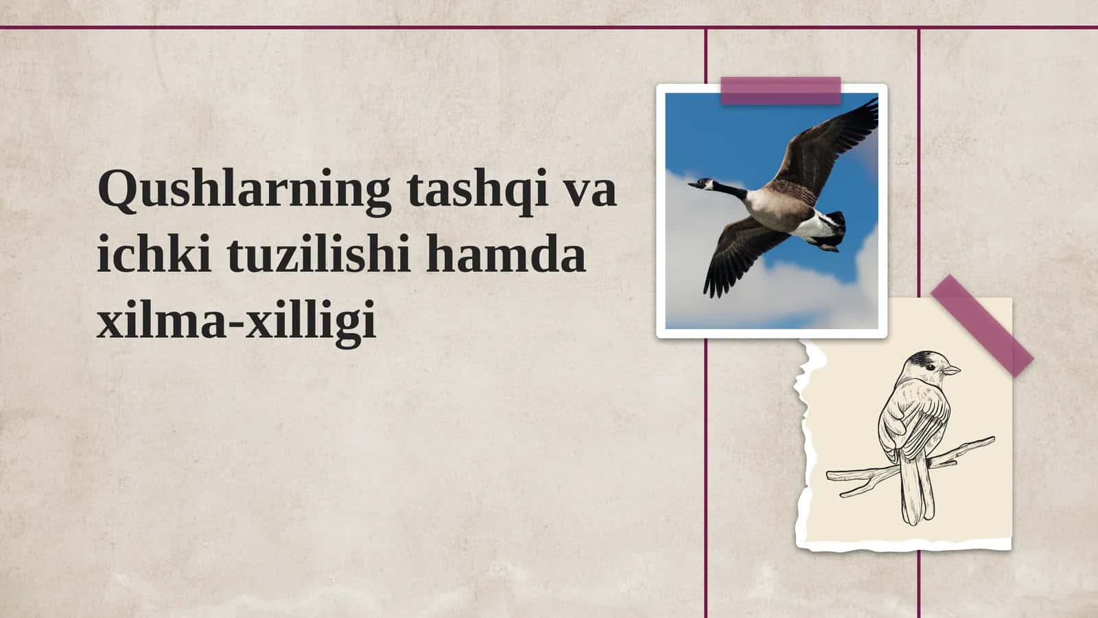 Qushlarning tashqi va ichki tuzilishi 1
