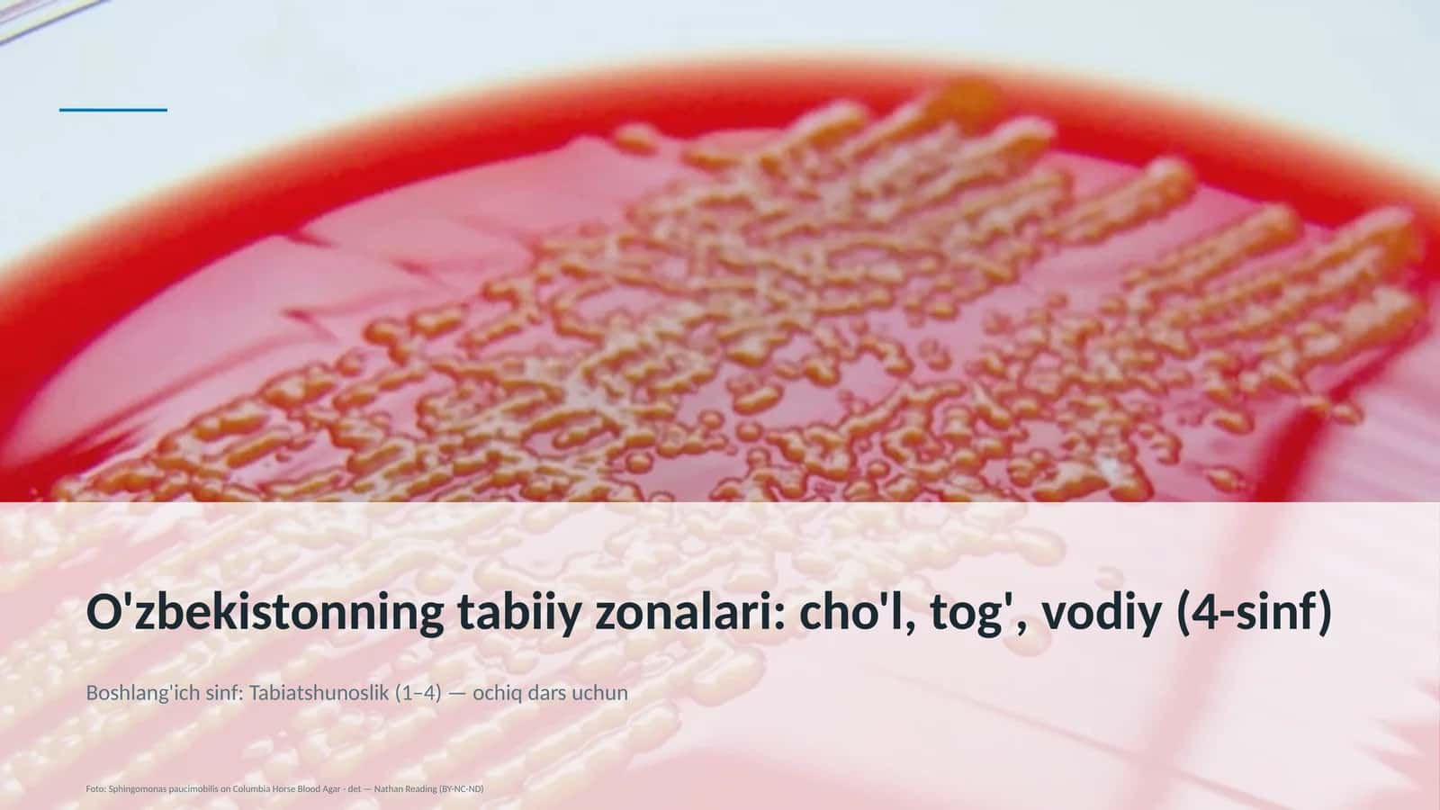 O'zbekistonning tabiiy zonalari: cho'l, tog', vodiy (4-sinf) 1