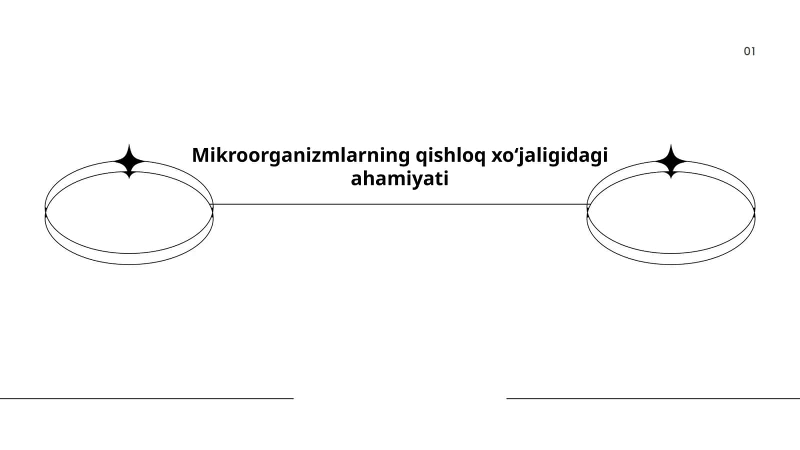 Mikroorganizmlarning qishloq xoʻjaligidagi ahamiyati 1