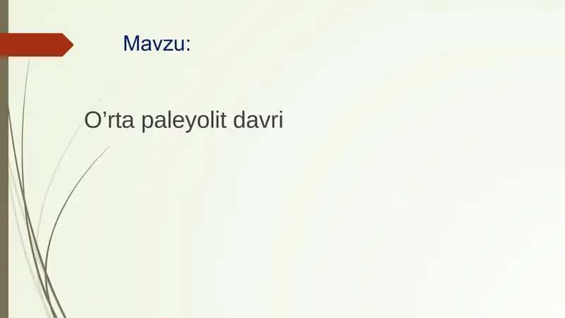 O’rta paleyolit davri 1