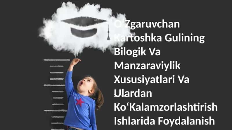 OʻZgaruvchan Kartoshka Guli 1
