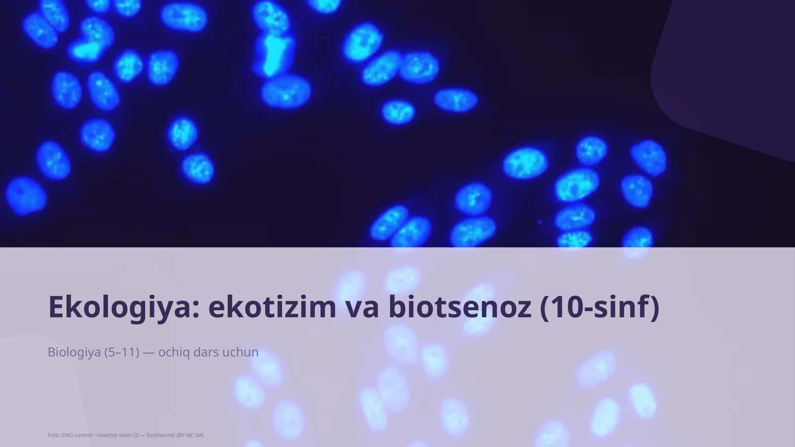 Ekologiya: ekotizim va biotsenoz (10-sinf) 1