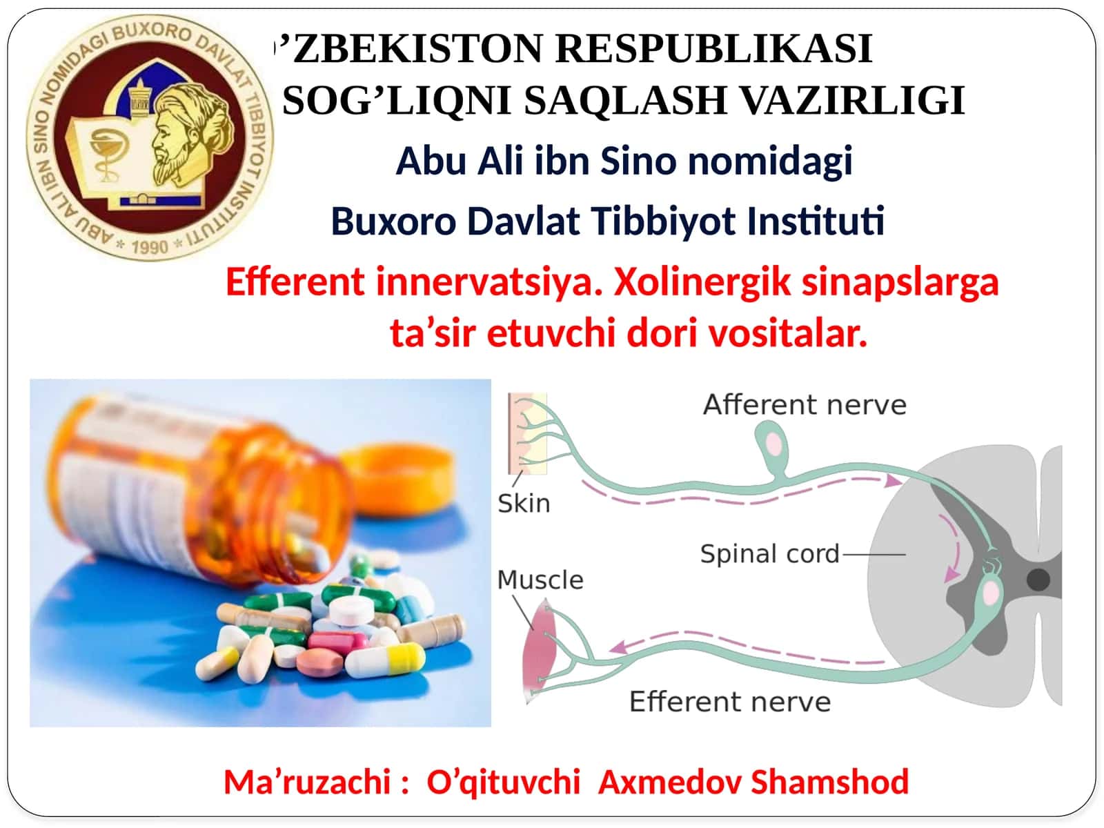 Efferentnervlargata’siretuvchidorivositalarmexanizmini oʼrganish va amaliyotda tаdbiq etish 1