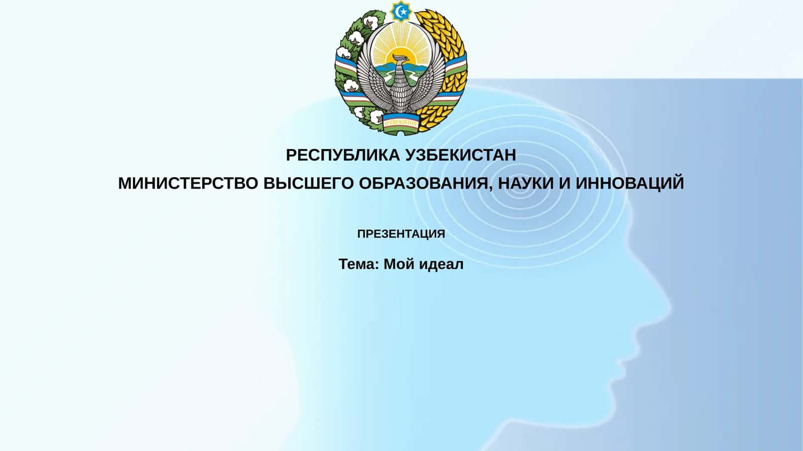 Мойидеал 1