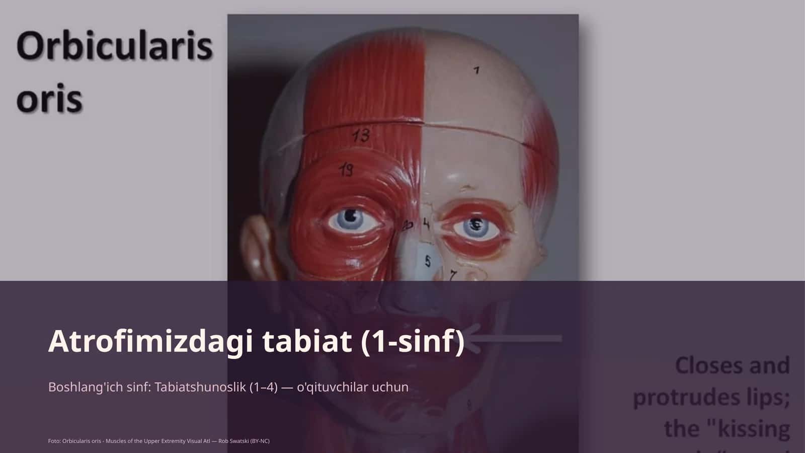 Atrofimizdagi tabiat (1-sinf) 1