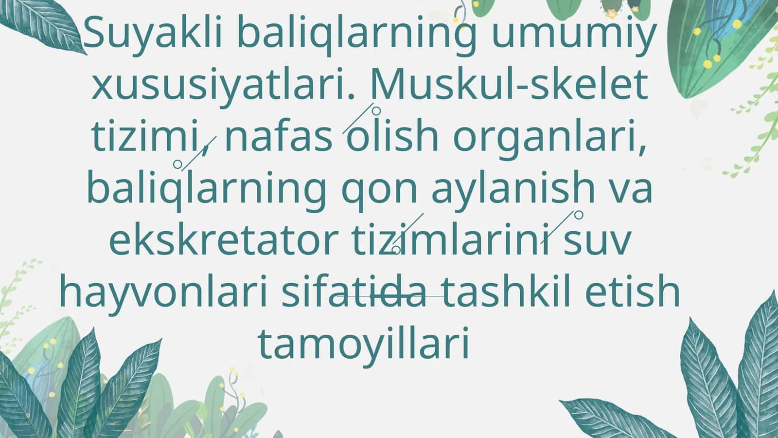 Suyaklibaliqlarning umumiy xususiyatlari 1