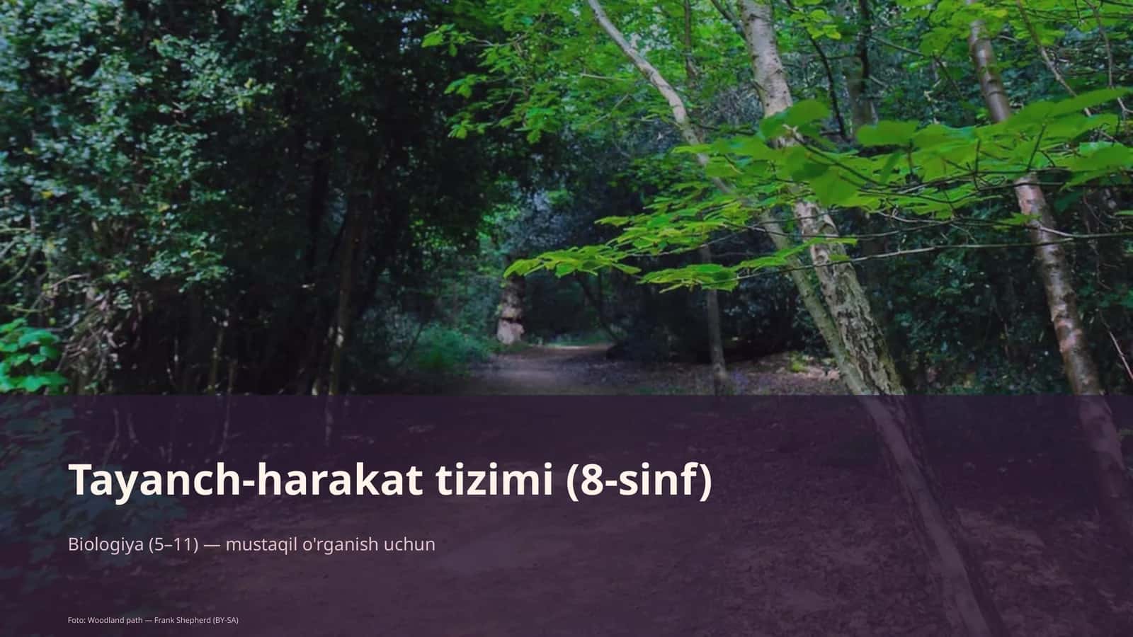 Tayanch-harakat tizimi (8-sinf) 1