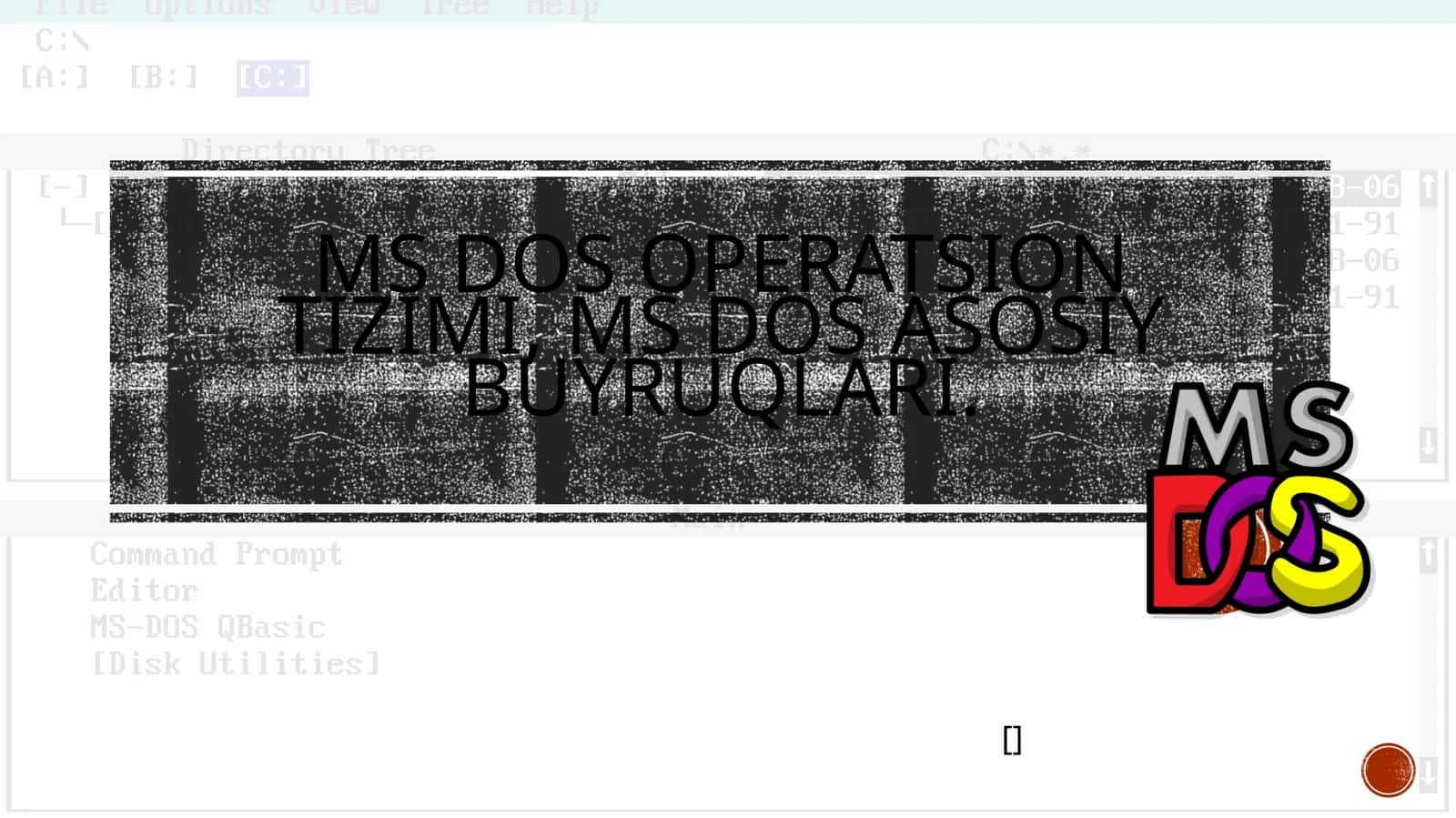 MS DOS operatsion tizimi 1