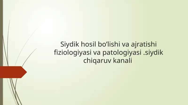 Nefron tuzulishi va siydik hosil bo'lishi 1