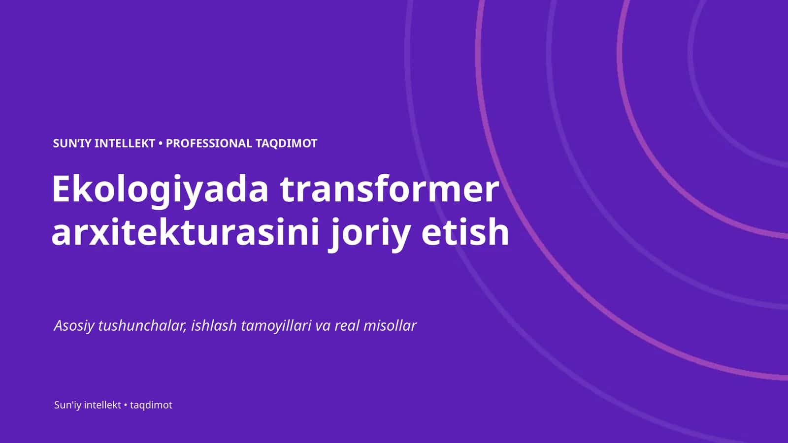 Ekologiyada transformer arxitekturasini joriy etish 1