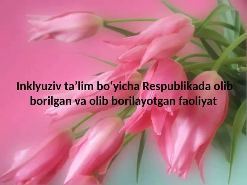 Inklüziv ta'lim bo'yicha Respublikada olib borilgan va olib borilayotgan faoliyat 1