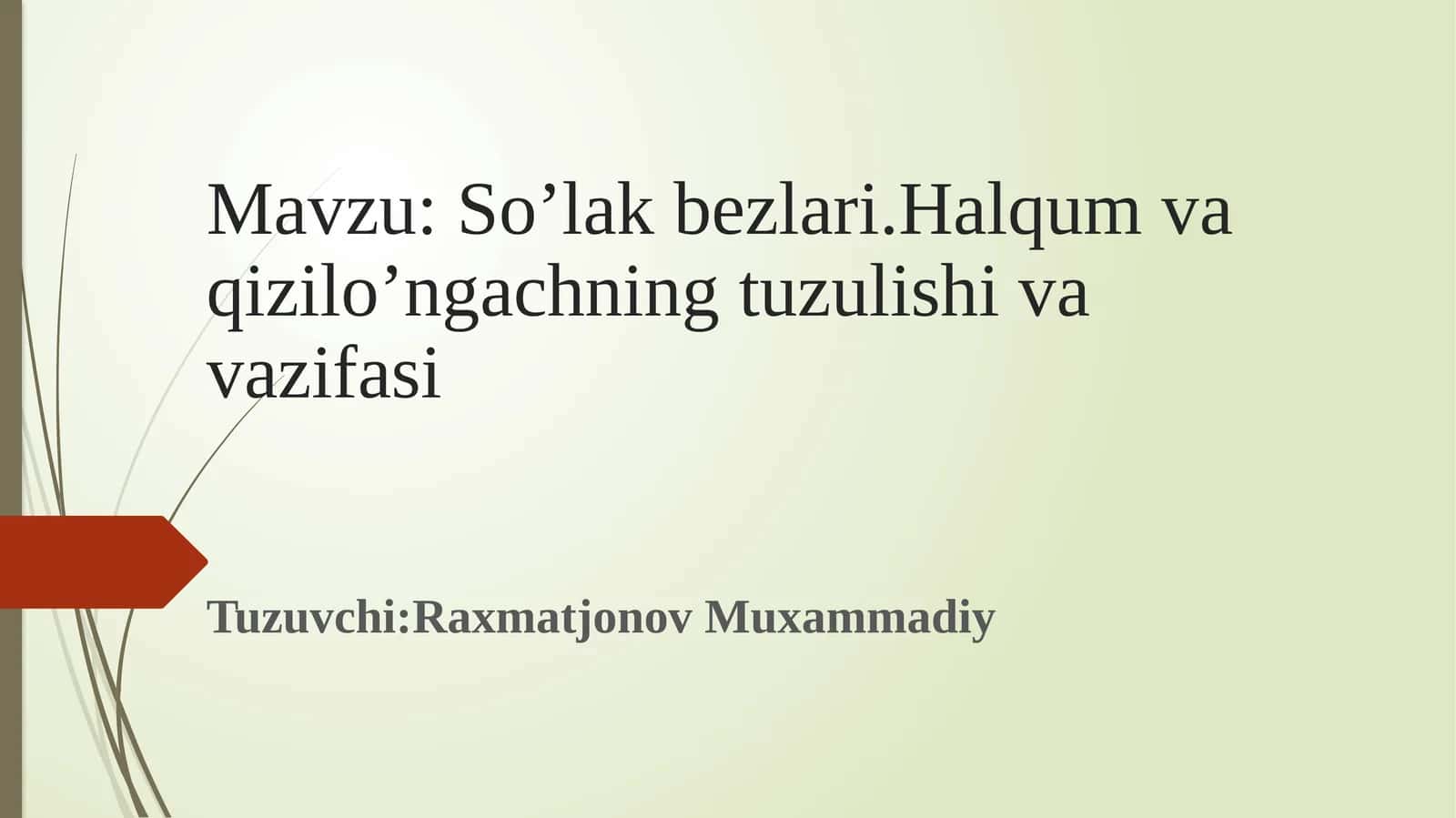 So’lak bezlari.Halqum va qizilo’ngachning tuzulishi va vazifasi 1