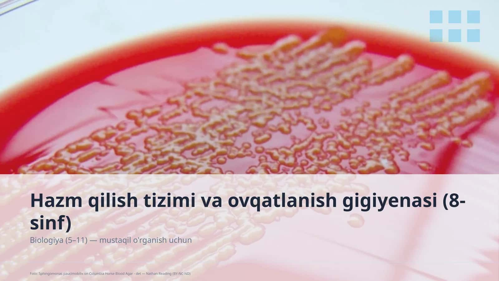 Hazm qilish tizimi va ovqatlanish gigiyenasi (8-sinf) 1