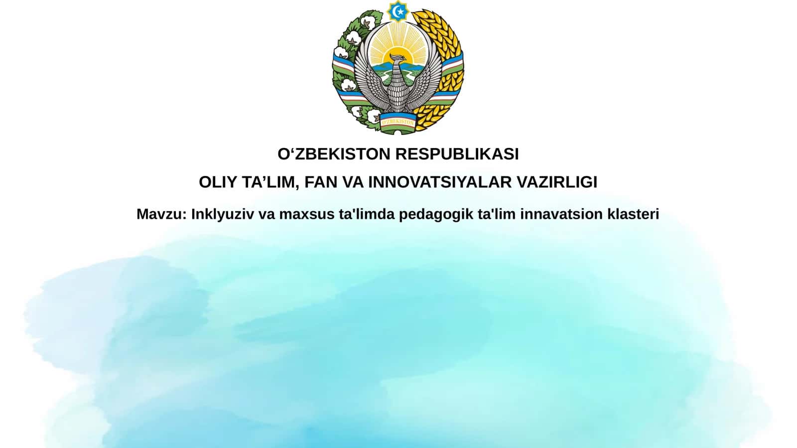 Inklyuziv va maxsus ta'limdagi pedagogik ta'lim innovatsion klasteri 1