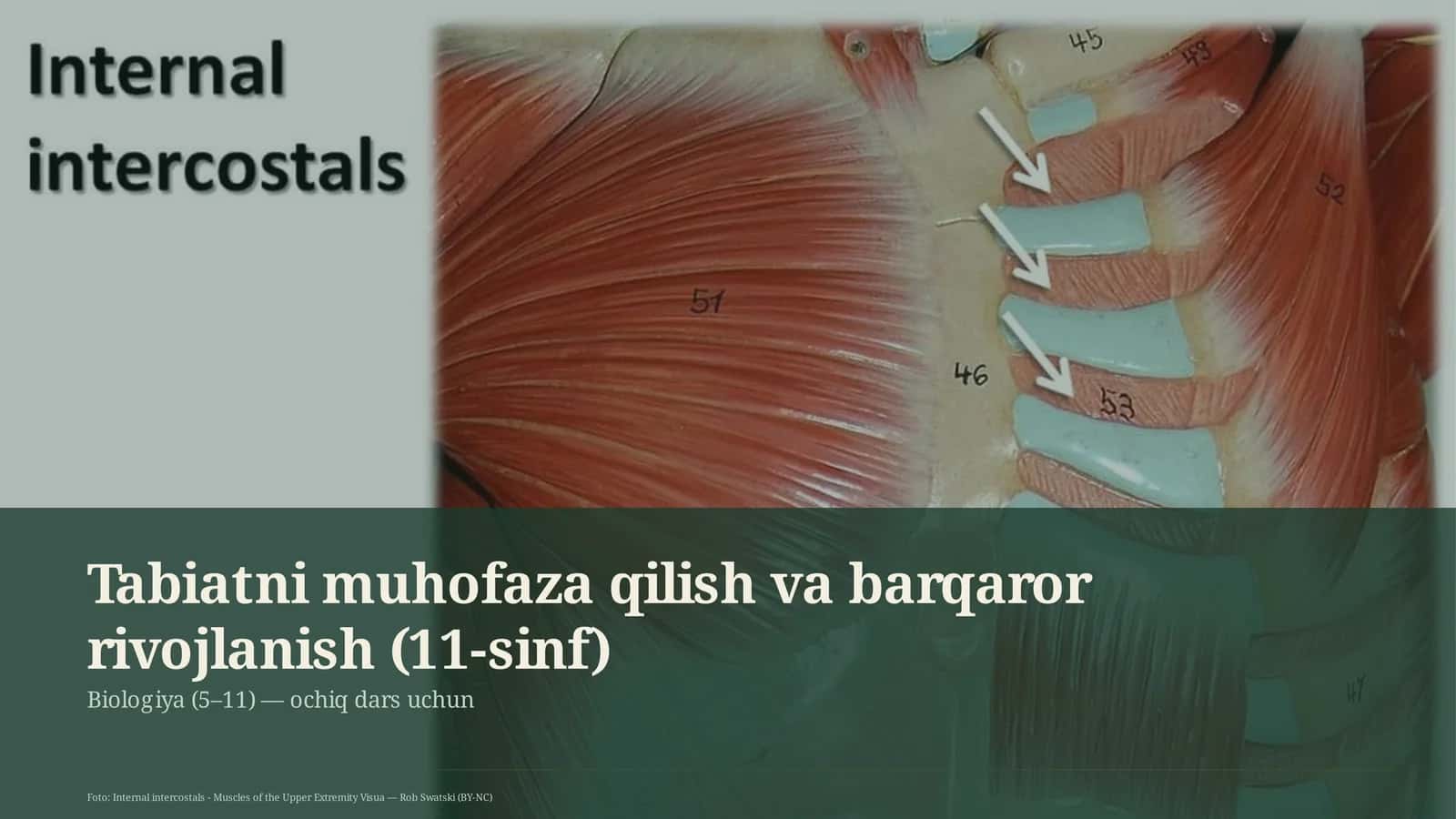 Tabiatni muhofaza qilish va barqaror rivojlanish (11-sinf) 1