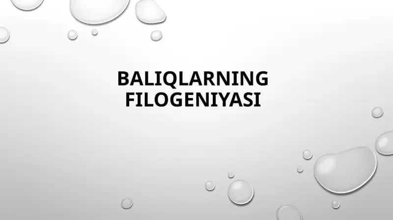 Baliqlarning Filogeniyasi 1