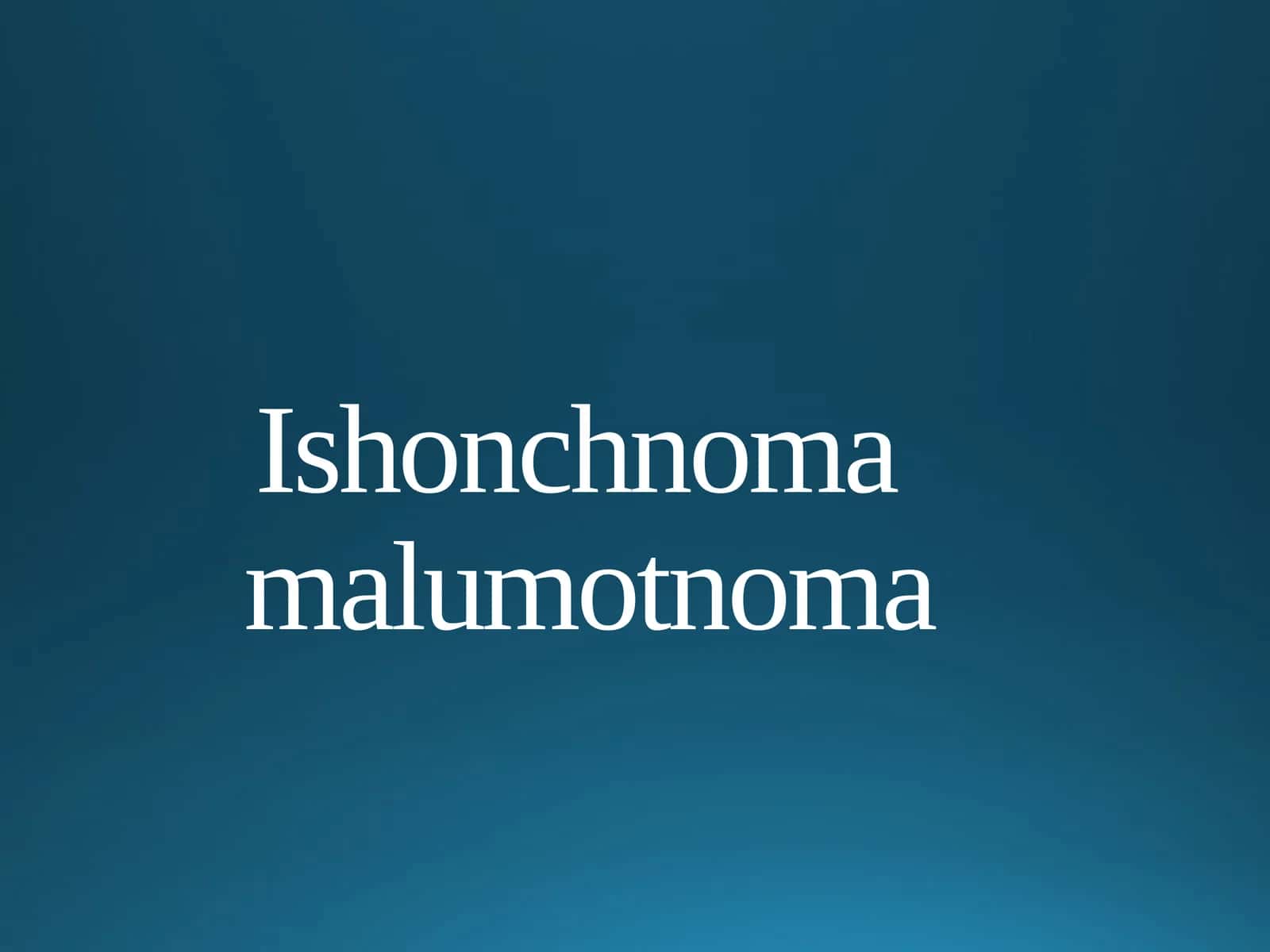 Ishonchnoma, ma'lumotnoma 1