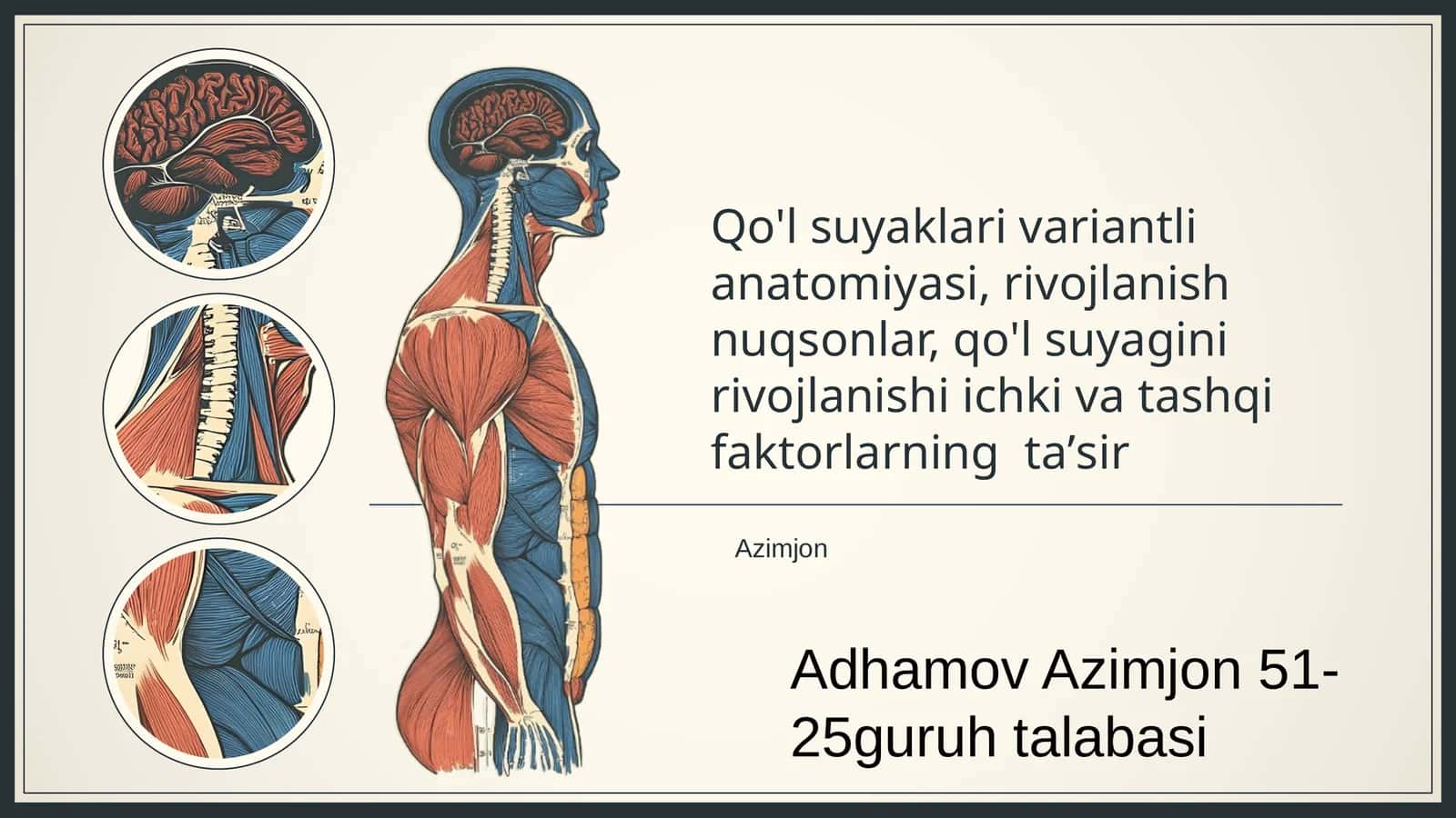 Qo'l suyaklari variantli anatomiyasi 1