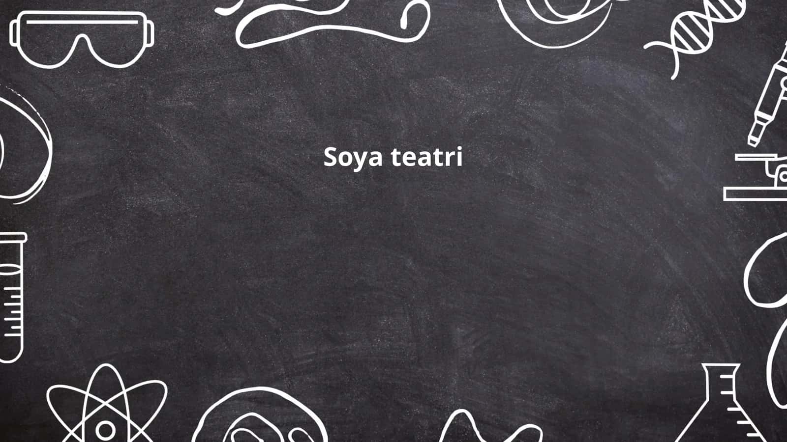 Soya teatri 1