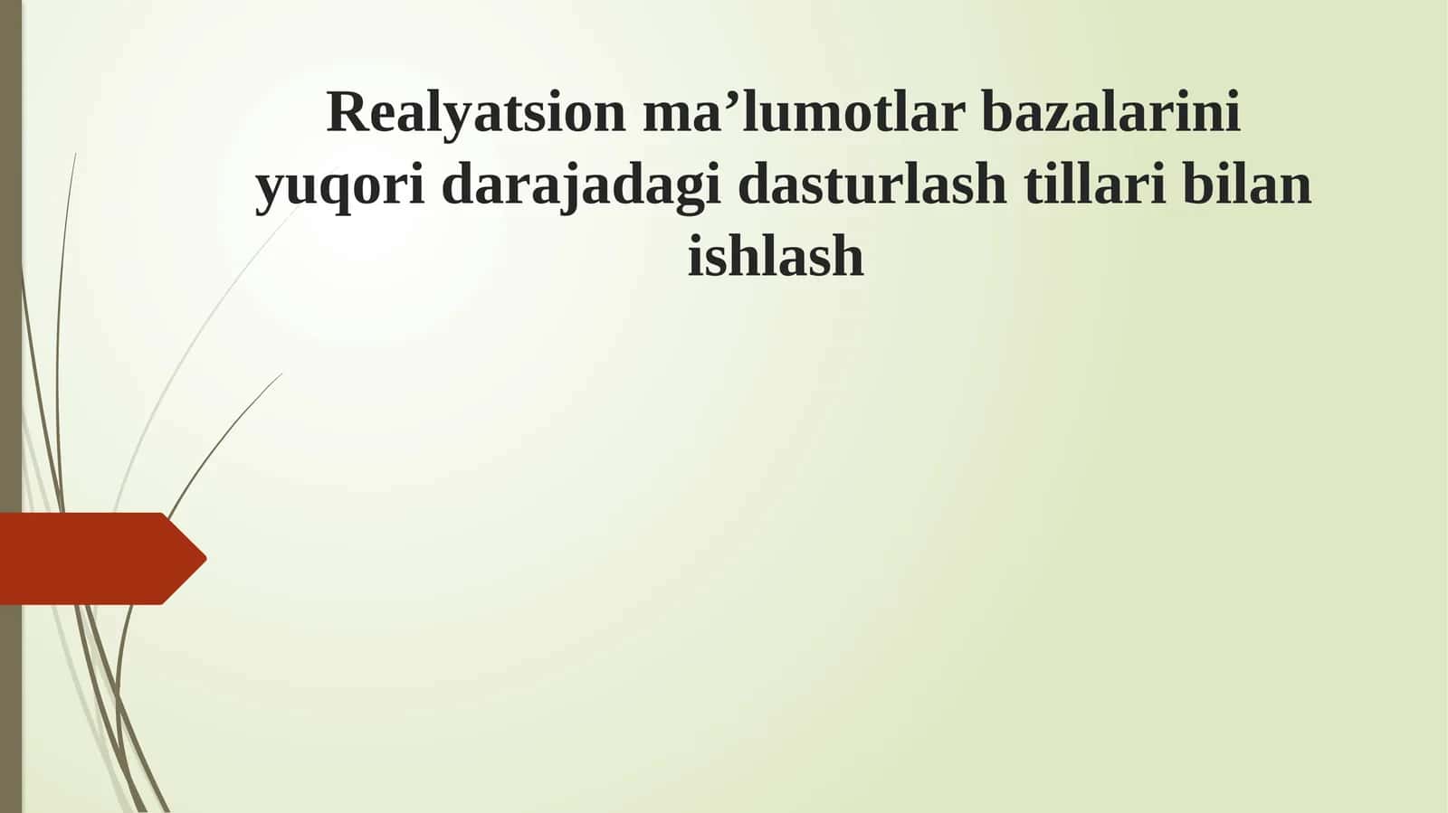 Realyatsion ma’lumotlar bazalarini yuqori darajadagi dasturlash tillari bilan ishlash 1