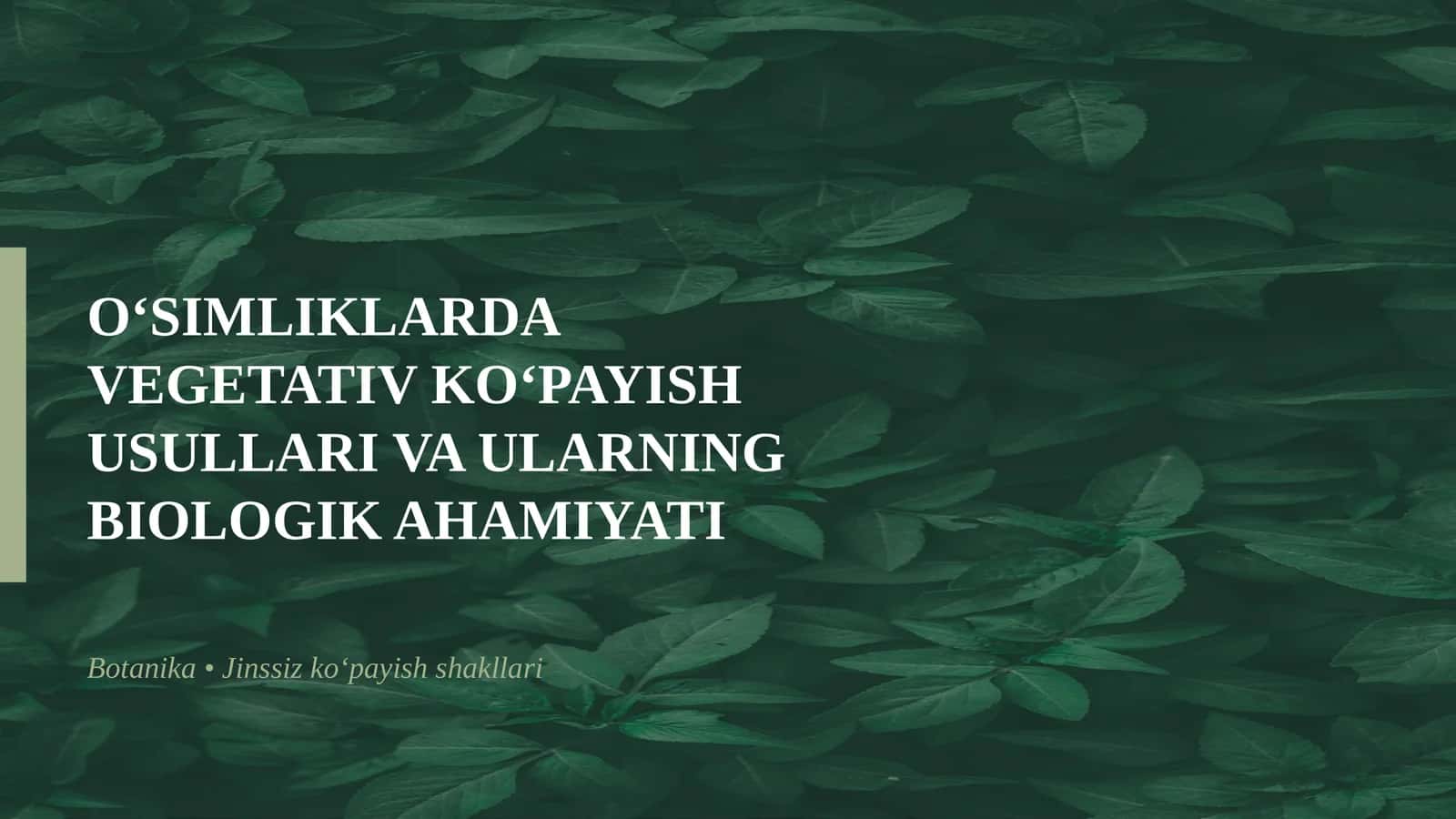 O‘SIMLIKLARDA VEGETATIV KO‘PAYISH USULLARI VA ULARNING BIOLOGIK AHAMIYATI 1