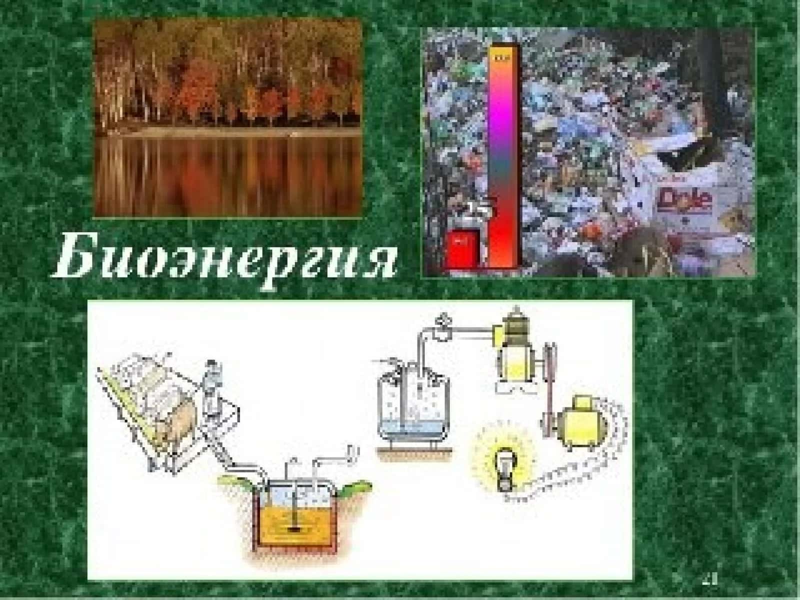 Biomassa energiyasi 1