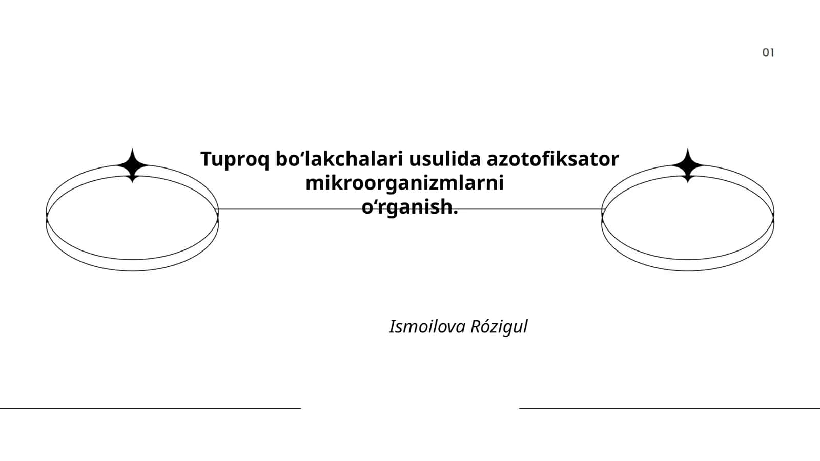 Tuproq Bo‘lakchalari Usulida Azotofiksator Mikroorganizmlarni O‘rganish 1