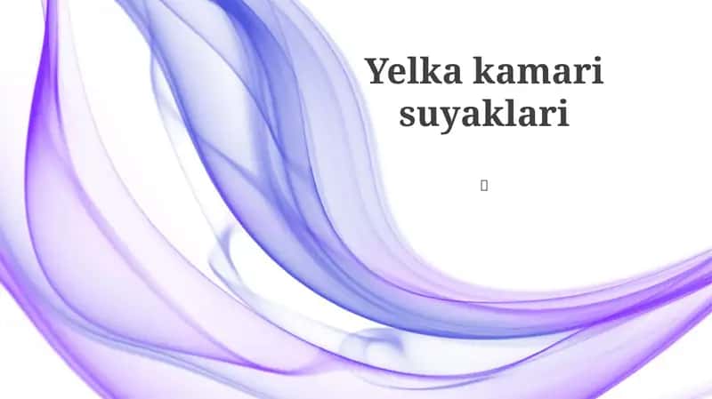 Yelka kamari suyaklari 1