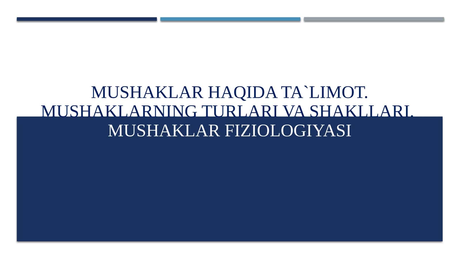 Mushaklar haqida ta`limot 1