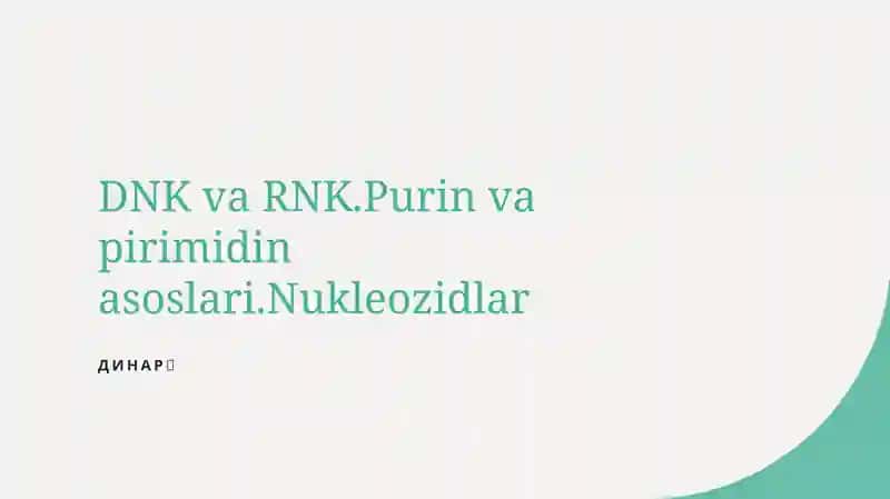 DNK va RNK