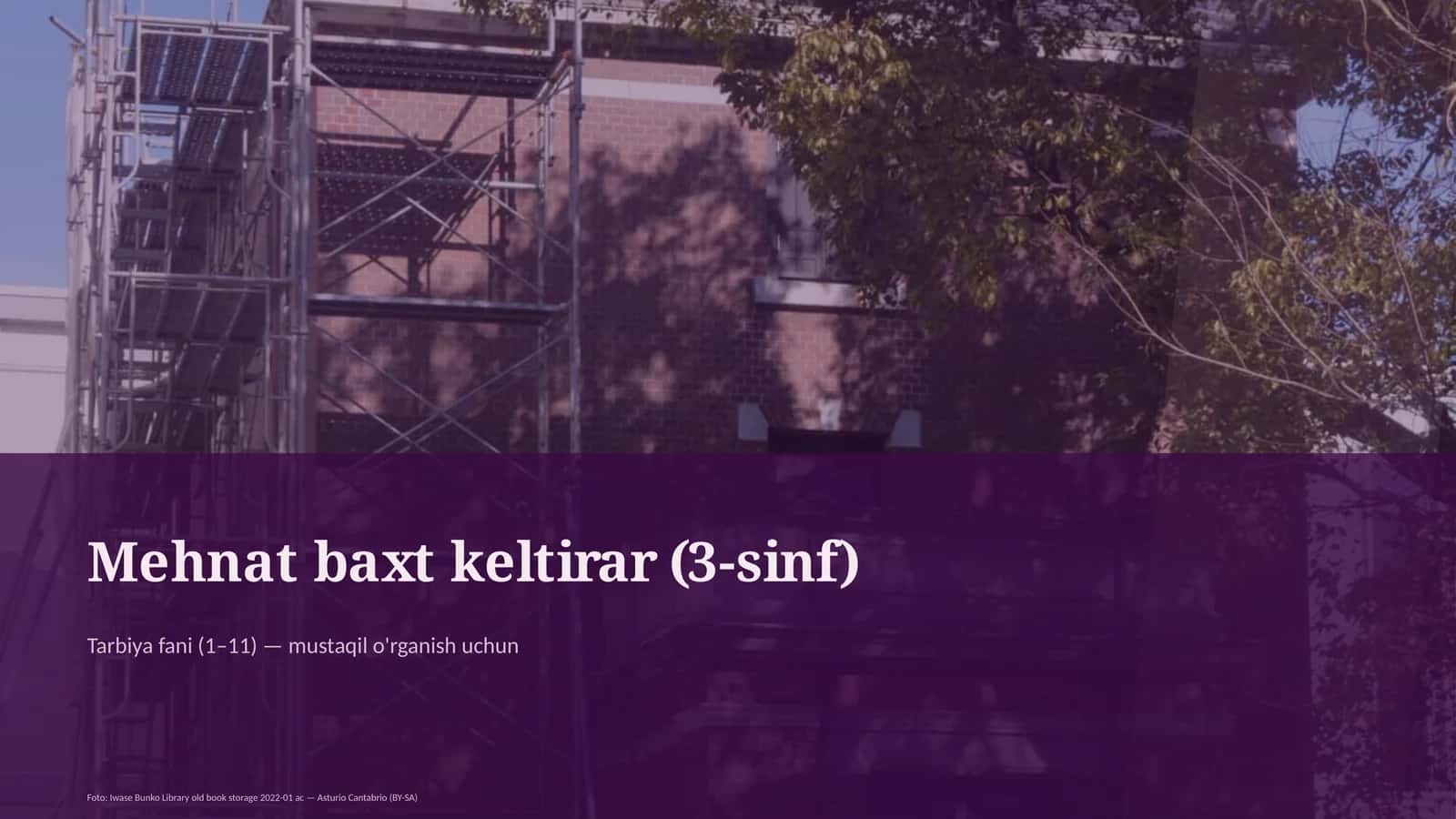 Mehmat baxt keltirar (3-sinf) 1