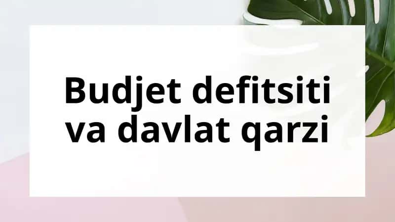 Davlat byudjeti 1
