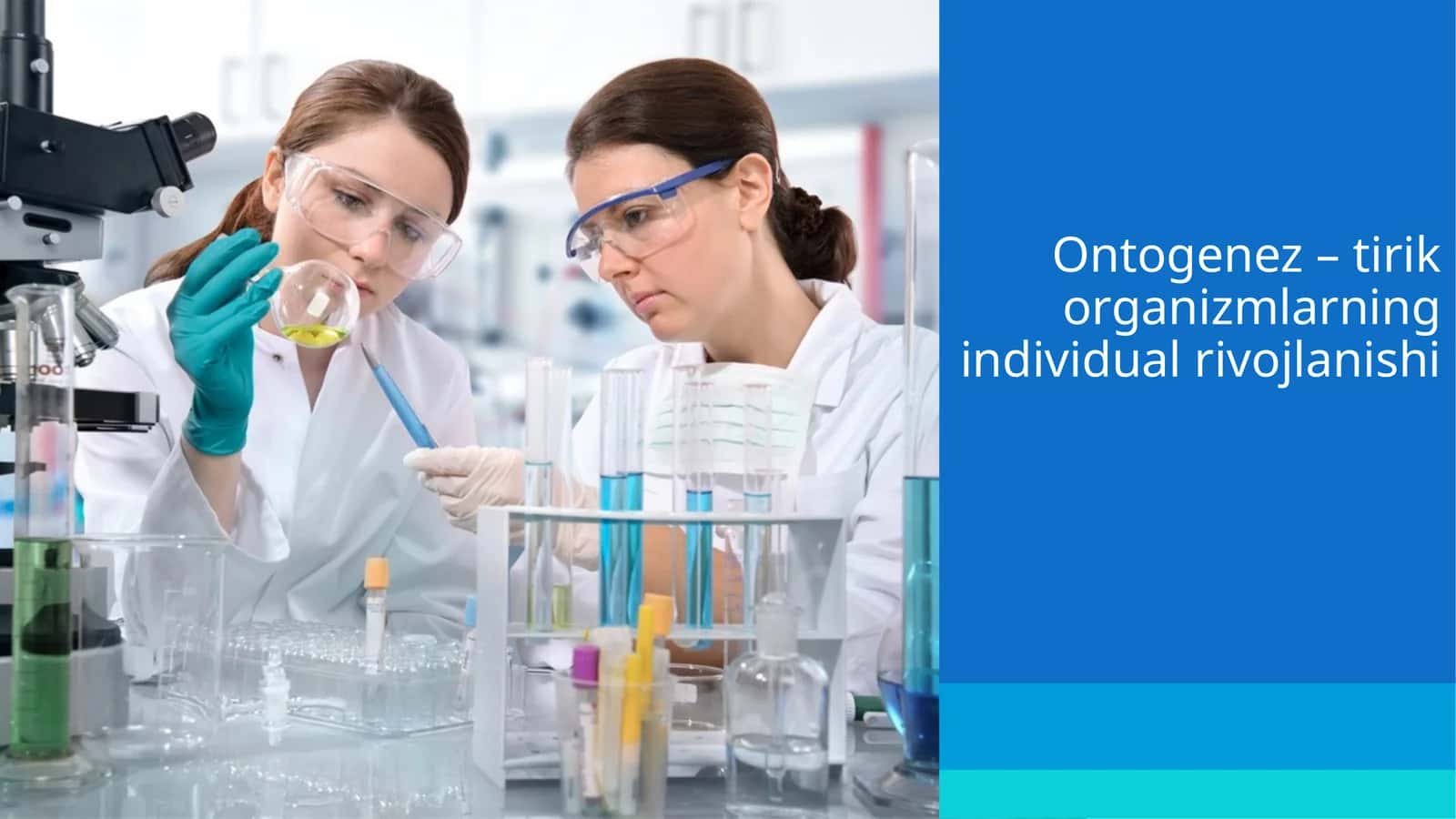 Ontogenez–tirikorganizmlarningindividualrivojlanishi 1